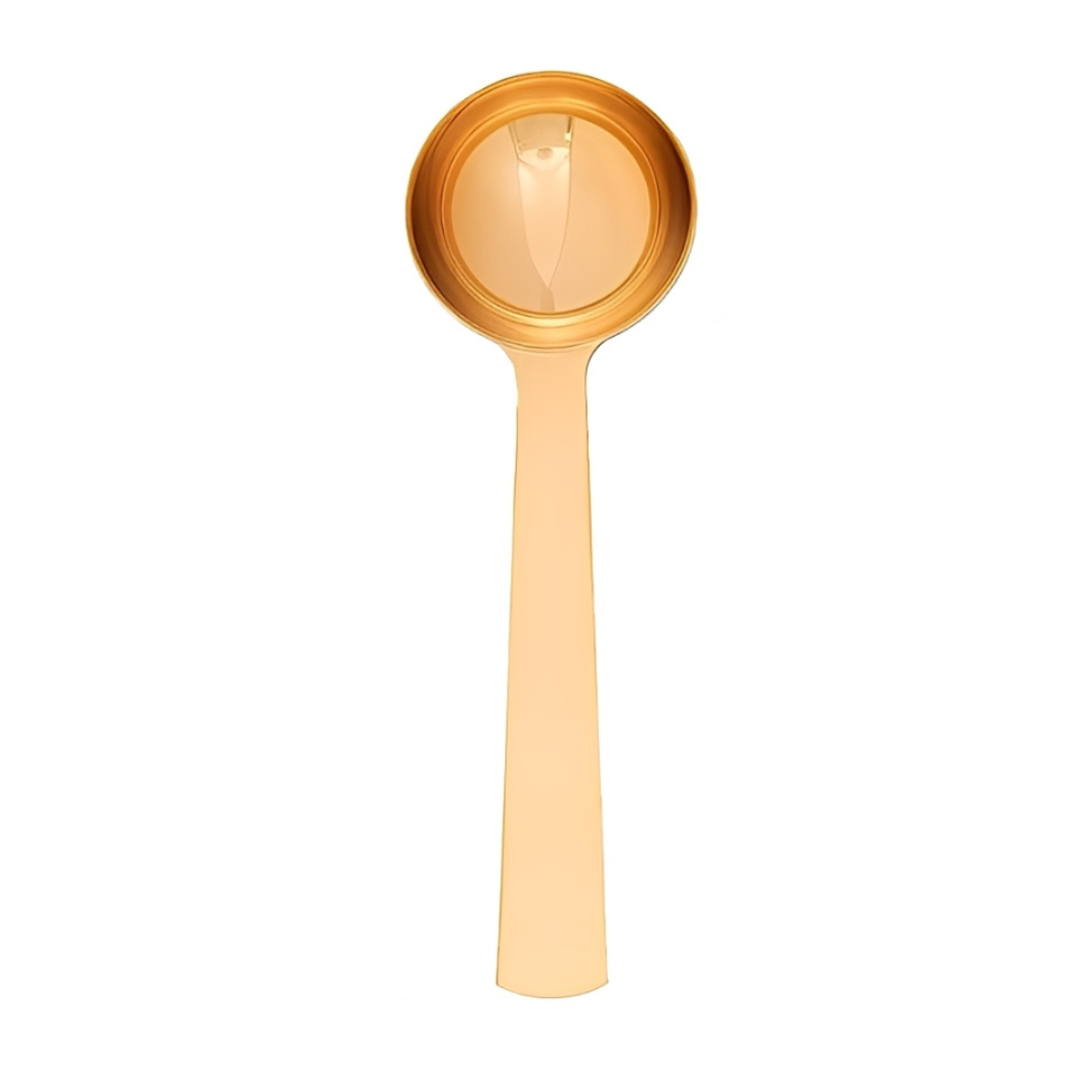 Stainless Steel Scoop